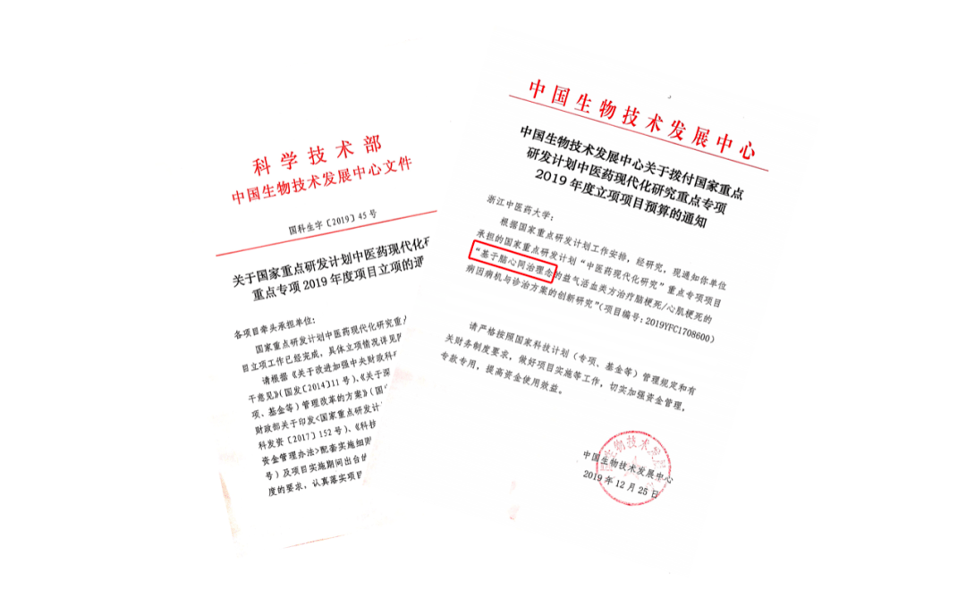 从无到有，第一个鼠标的诞生与科技史的里程碑-第1张图片
