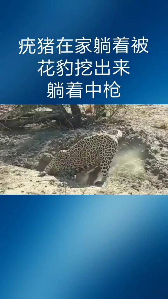 被强睡的高H公妇的温婉-第3张图片