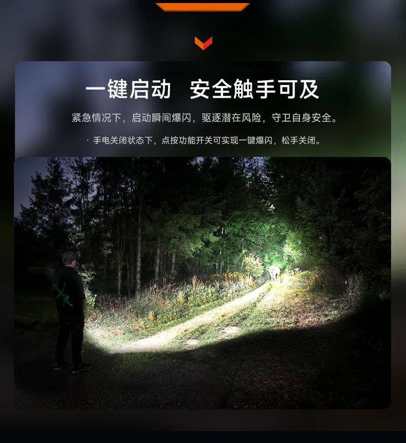 探索Ht9ot桃花影院的魅力之旅