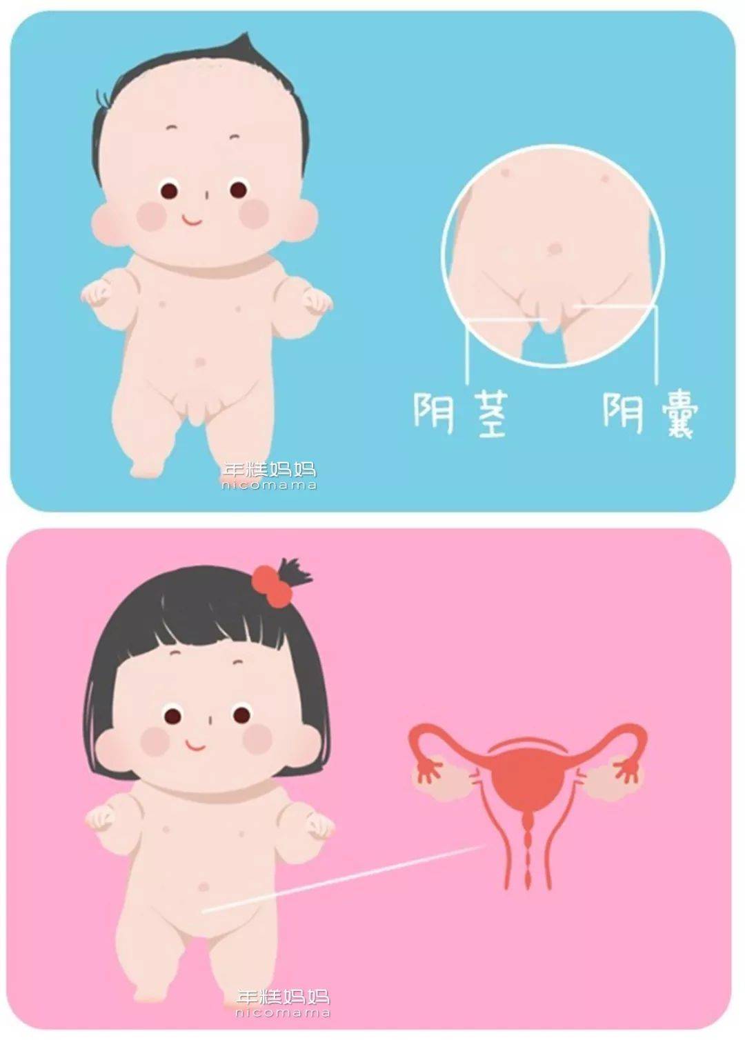 女子扒开尿口撒尿视频女子隐私行为曝光，尿口撒尿视频的探讨-第1张图片