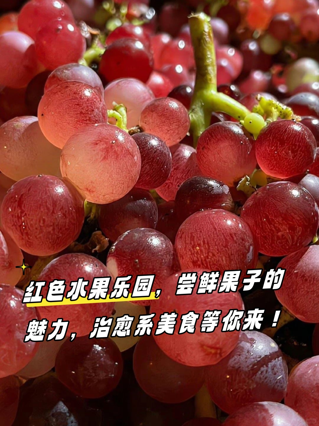 惠美梨，一种独特的水果魅力-第2张图片