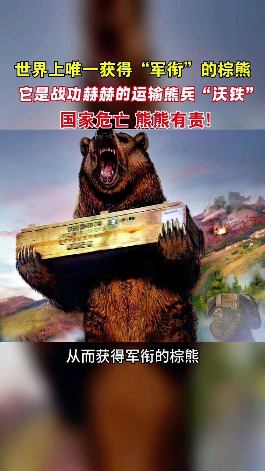 熊战士出什么装备熊战士的最佳装备选择