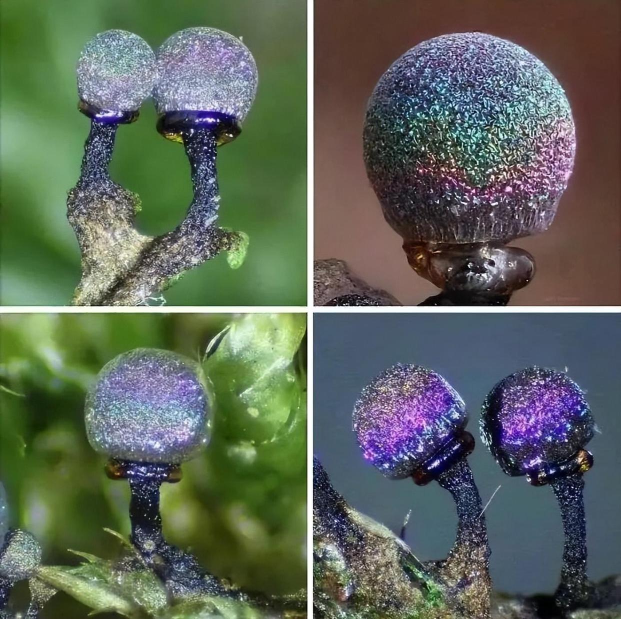 新天上碑，探索未知的神秘力量-第1张图片