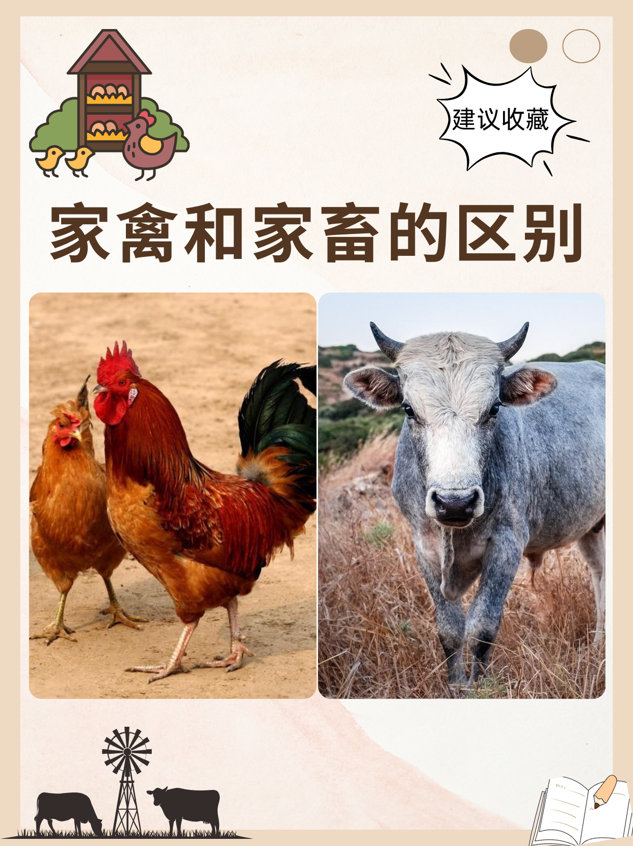 人与畜禽的关系