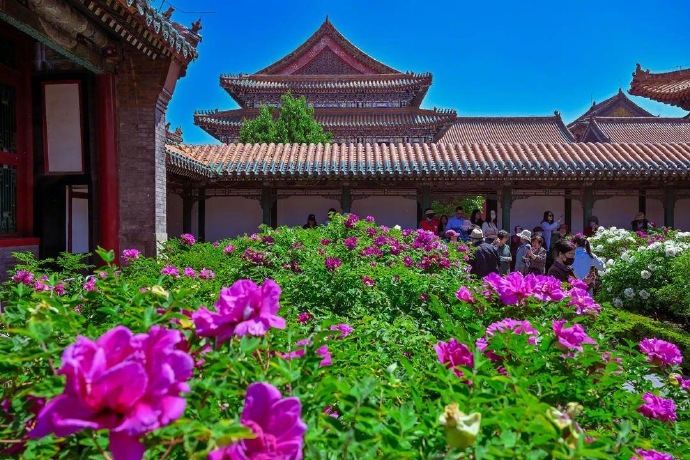 天美传媒国色天香乱码天美传媒国色天香乱码现象的探究-第2张图片