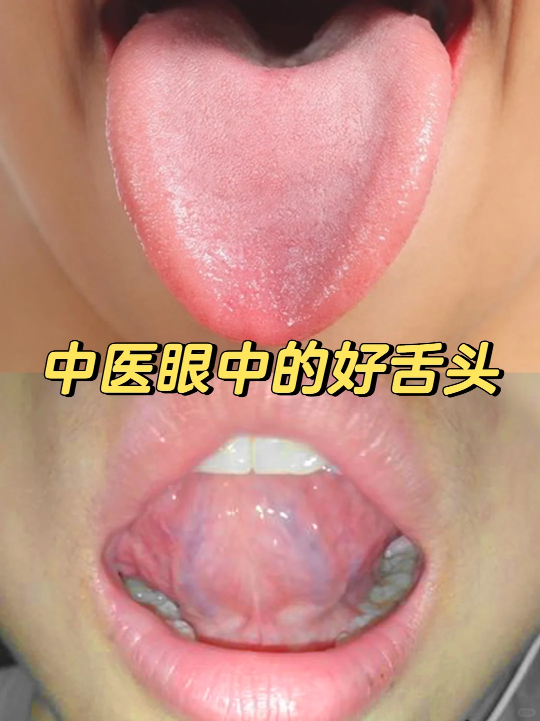 往下面放什么像舌头的东西奇妙探索，关于往下面放什么像舌头的东西的探索