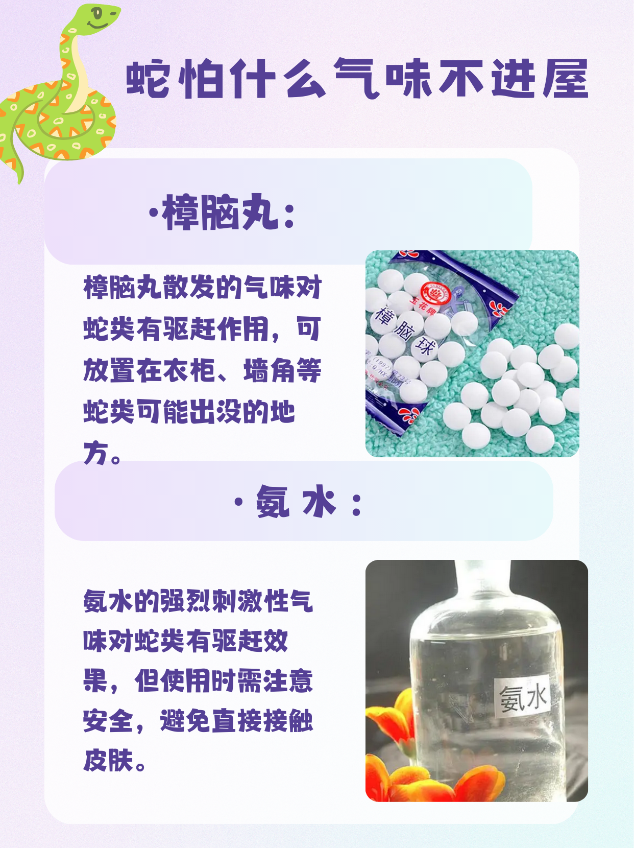 很黄的片子里面有蛇远离不良内容，珍爱健康生活-第2张图片