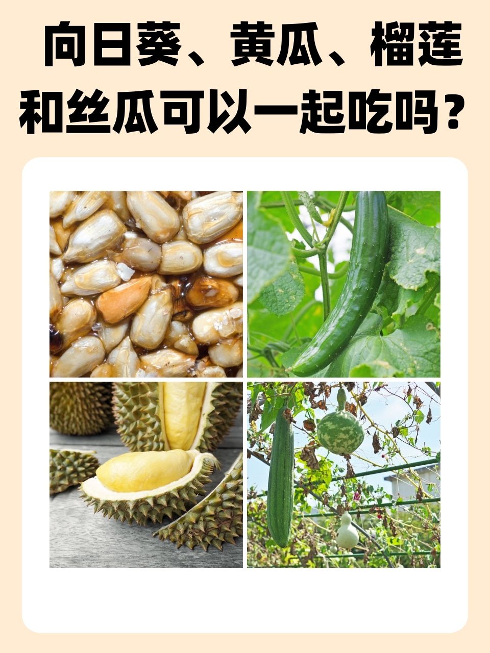 关于水果与成长的探索——从草莓丝瓜香蕉到向日葵榴莲的18岁之旅-第2张图片