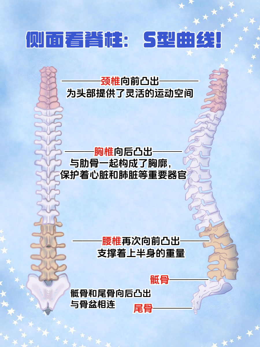 探索床上108种姿势的奥秘-第2张图片