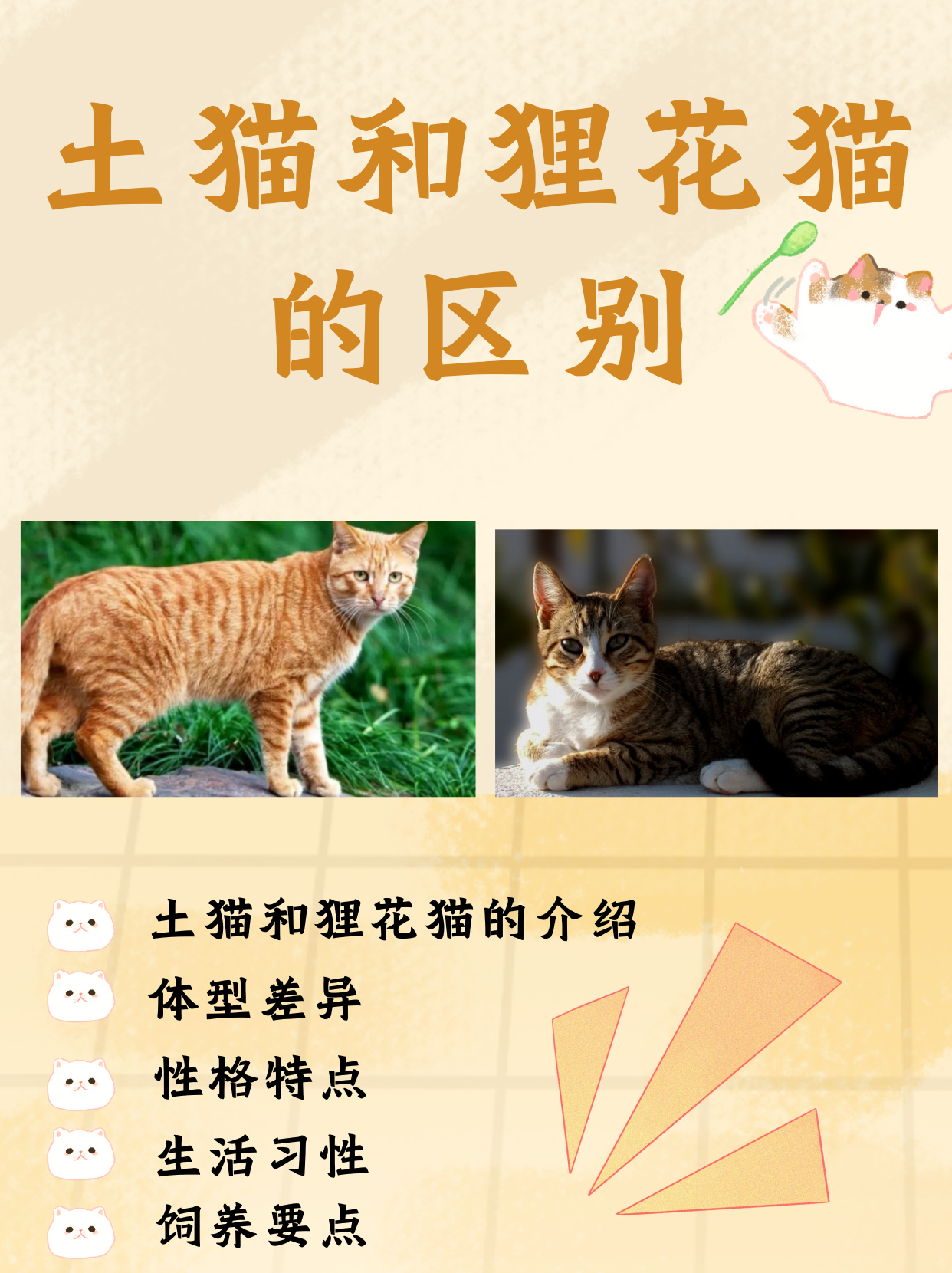 乱换合集的多元魅力与探索-第3张图片