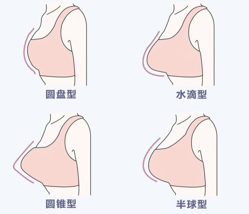 我十二岁，我的胸好看吗？——宝宝知道的成长之路-第1张图片