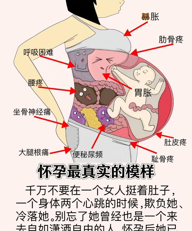 女性疼痛与男性深层次关怀的探索-第2张图片