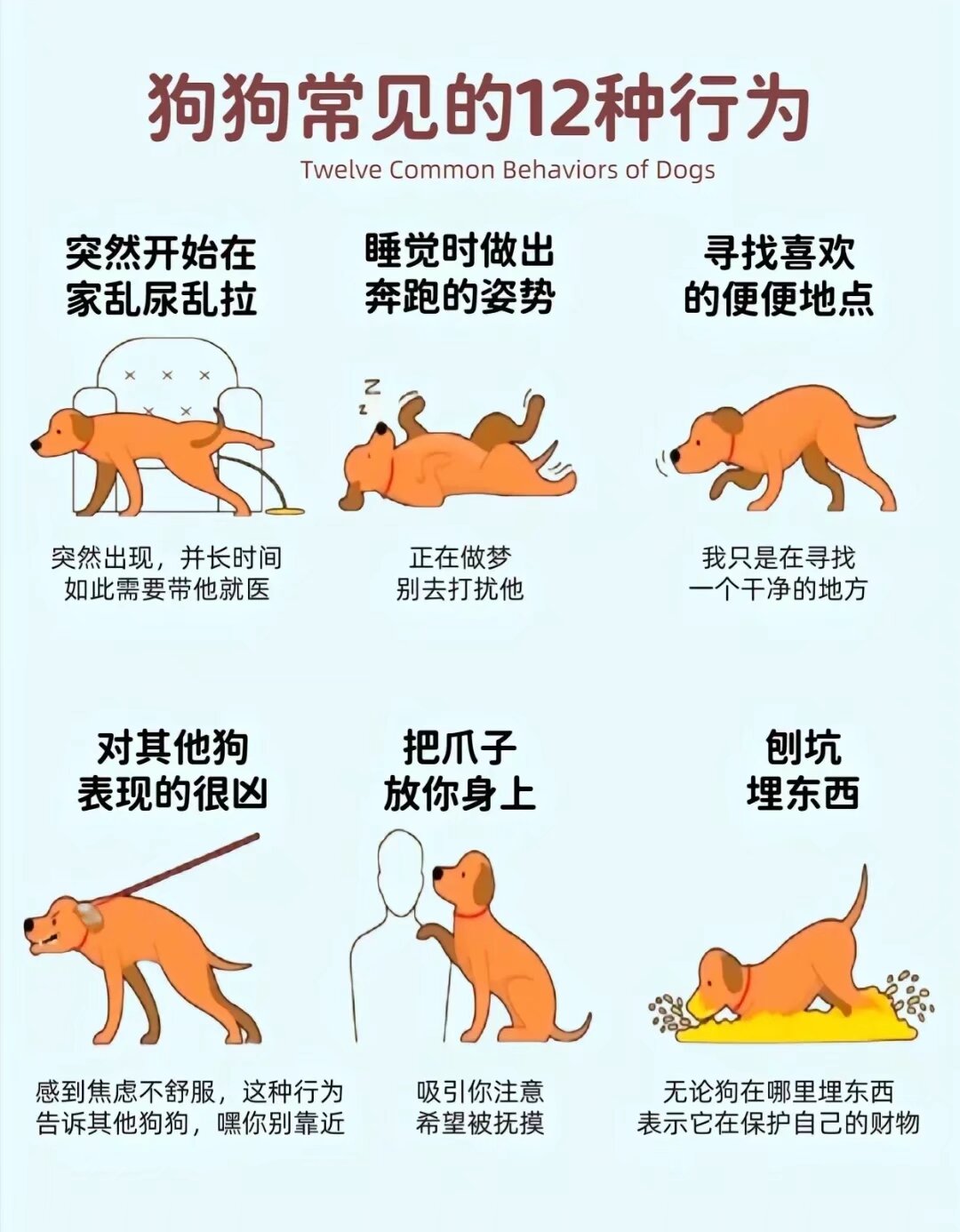 如何让对象吃屎如何巧妙地引导你的伴侣品尝你的小兔兔