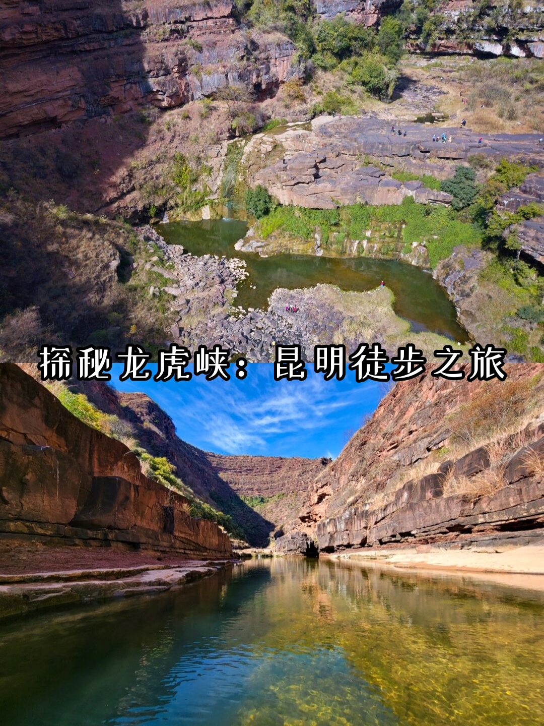 探索天堂网WWW最新版官网的魅力之旅