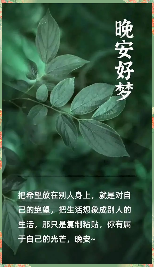 免费正能量直播网站大全免费正能量直播网站，传递温暖，点亮生活