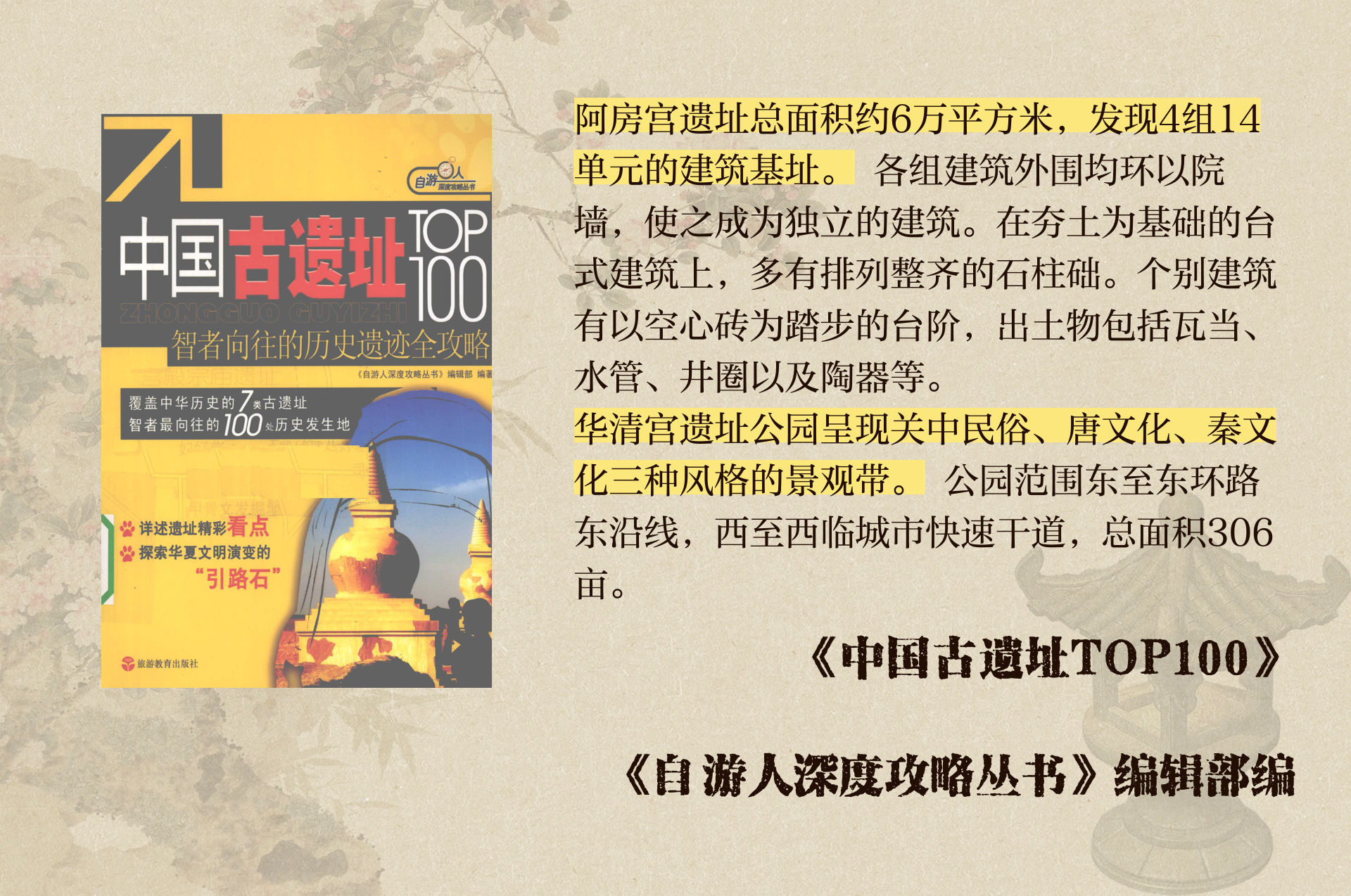 中国与文化多样性，探索Jizz的多元内涵