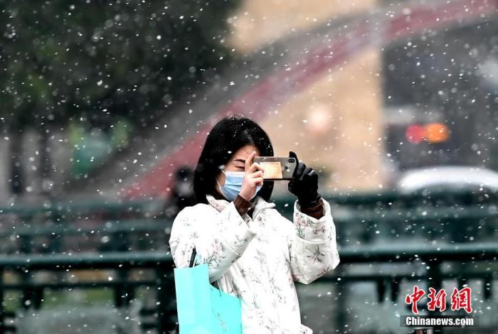 办公室中的小雪之乐-第1张图片