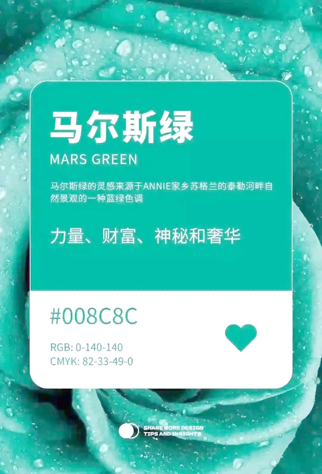 漫熊漫能，探索无限可能