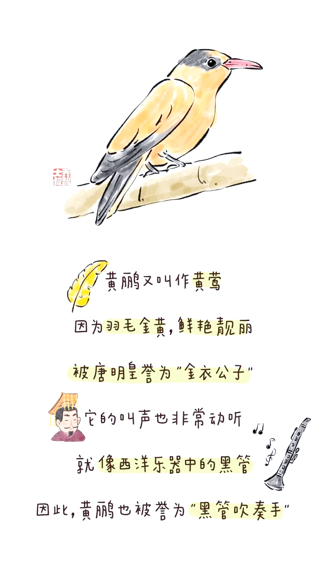 日本漫画大全天鸟日本漫画中的独特世界——全天鸟的魅力-第3张图片
