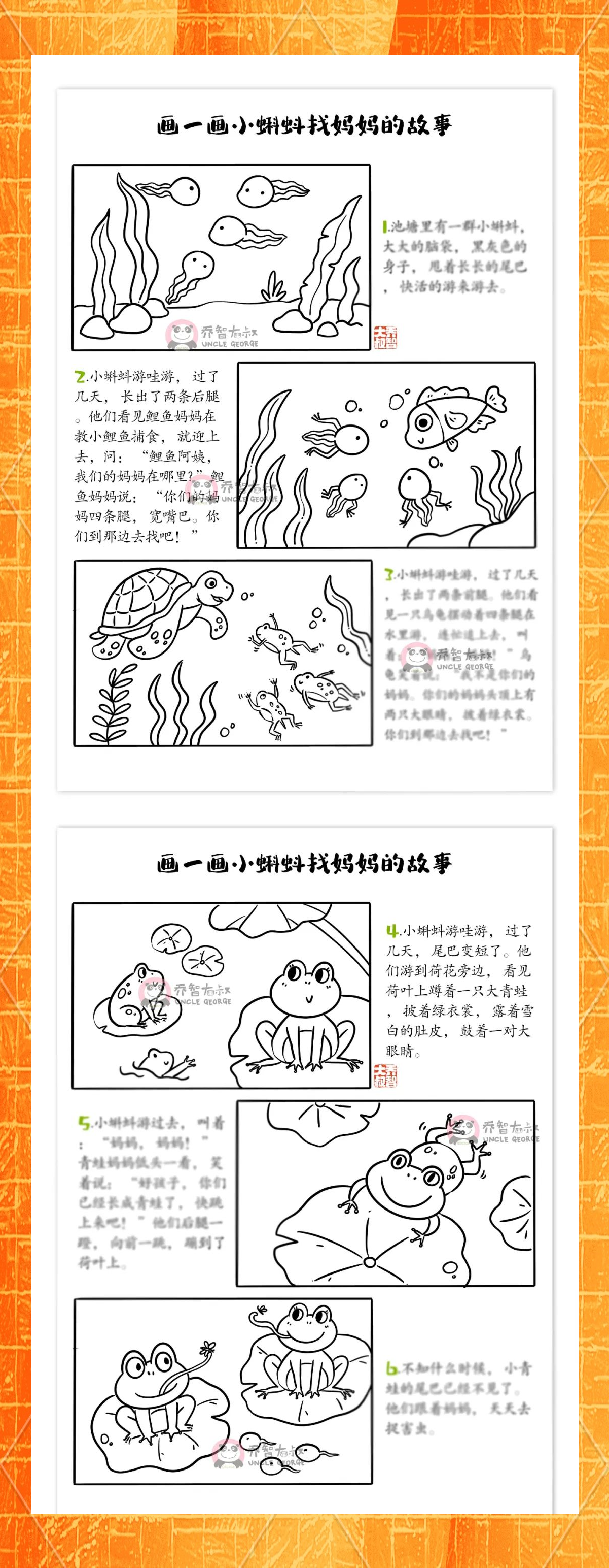 小蝌蚪视频WWW免费观看小蝌蚪视频免费观看的探索之旅