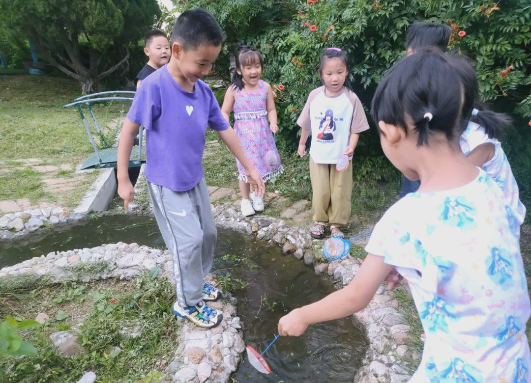小蝌蚪视频.WWW小蝌蚪视频的探索与发现