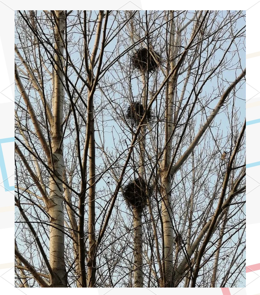 探索网络世界的奇妙之旅，关于啊轻点灬大巴太粗太长了视频的深度解析