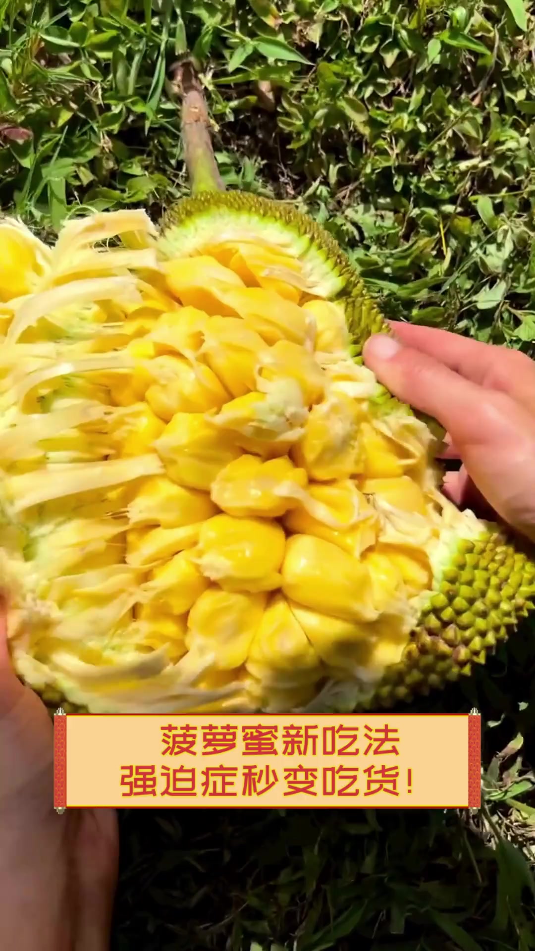 菠萝蜜视频app在哪探索菠萝蜜视频app，无限观看的乐趣与体验-第2张图片
