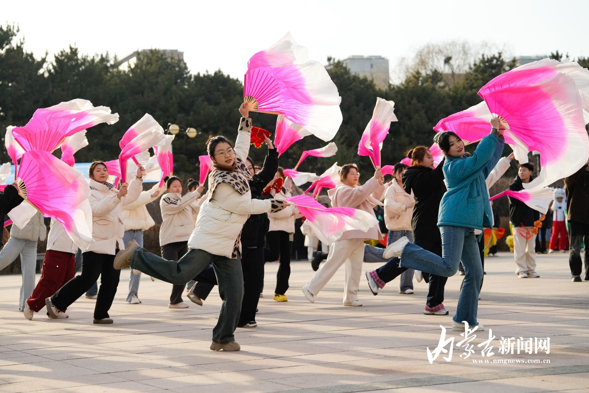 铿锵锵锵锵锵锵锵锵铿锵之声的魅力