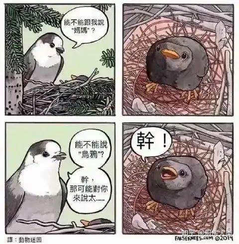 薯条漫画官网版登录入口薯条漫画，趣味横生，笑料不断