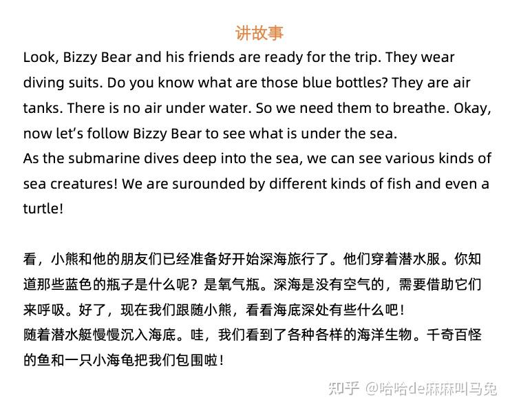英语老师与她那大兔兔的独特魅力-第2张图片