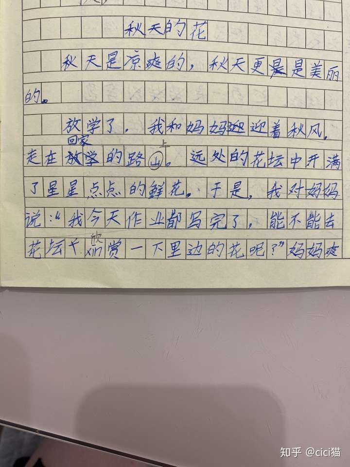 坐到师父的紫根上写作业——一次奇妙的体验