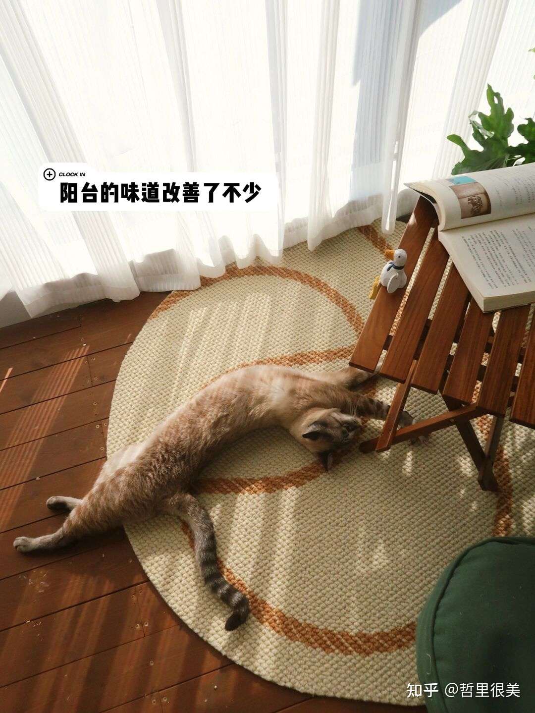 10000部18以下禁拍拍视频关于10000部18以下禁拍拍视频的探讨-第2张图片