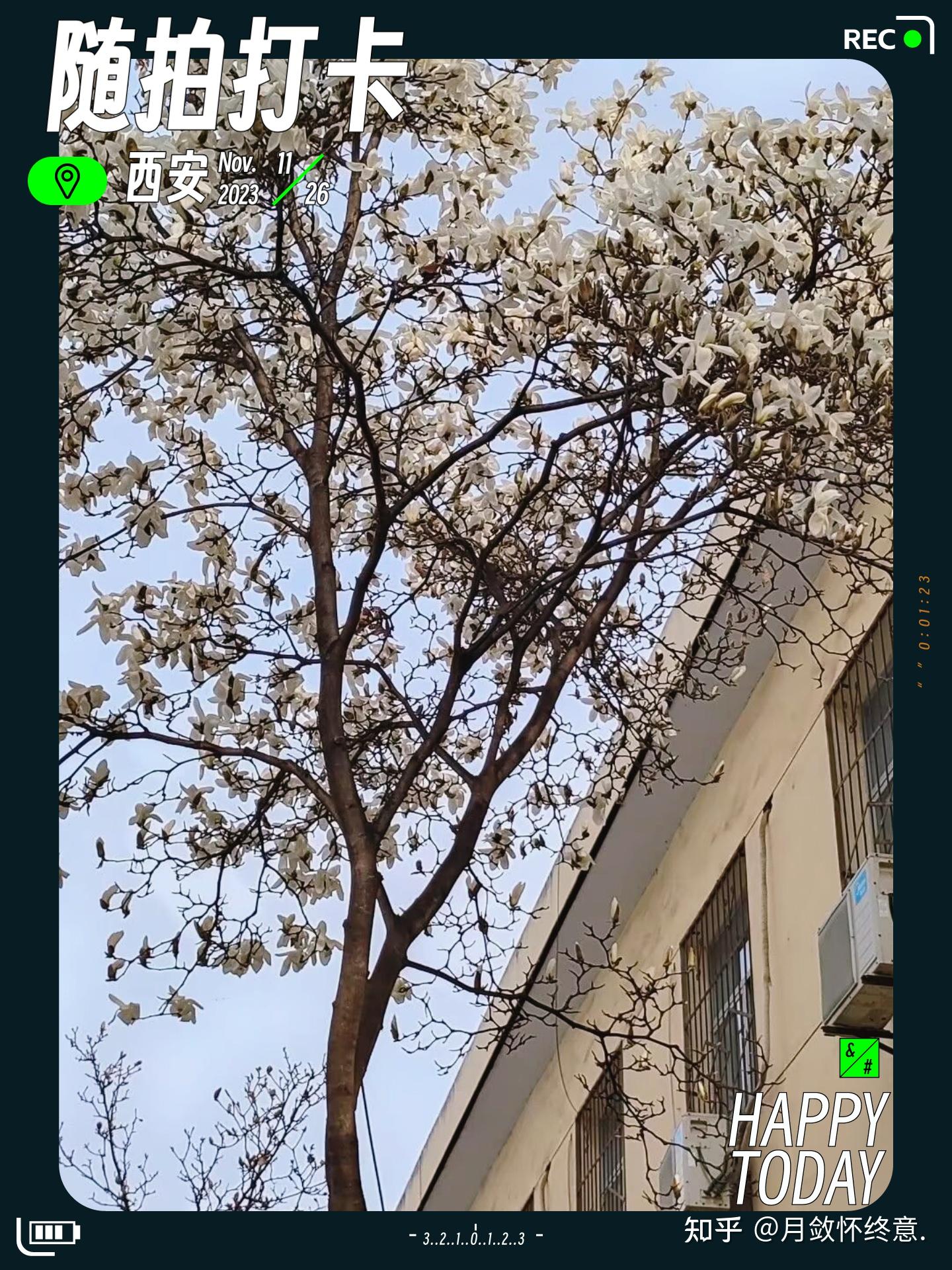 第六回，香车内终随平儿愿-第1张图片
