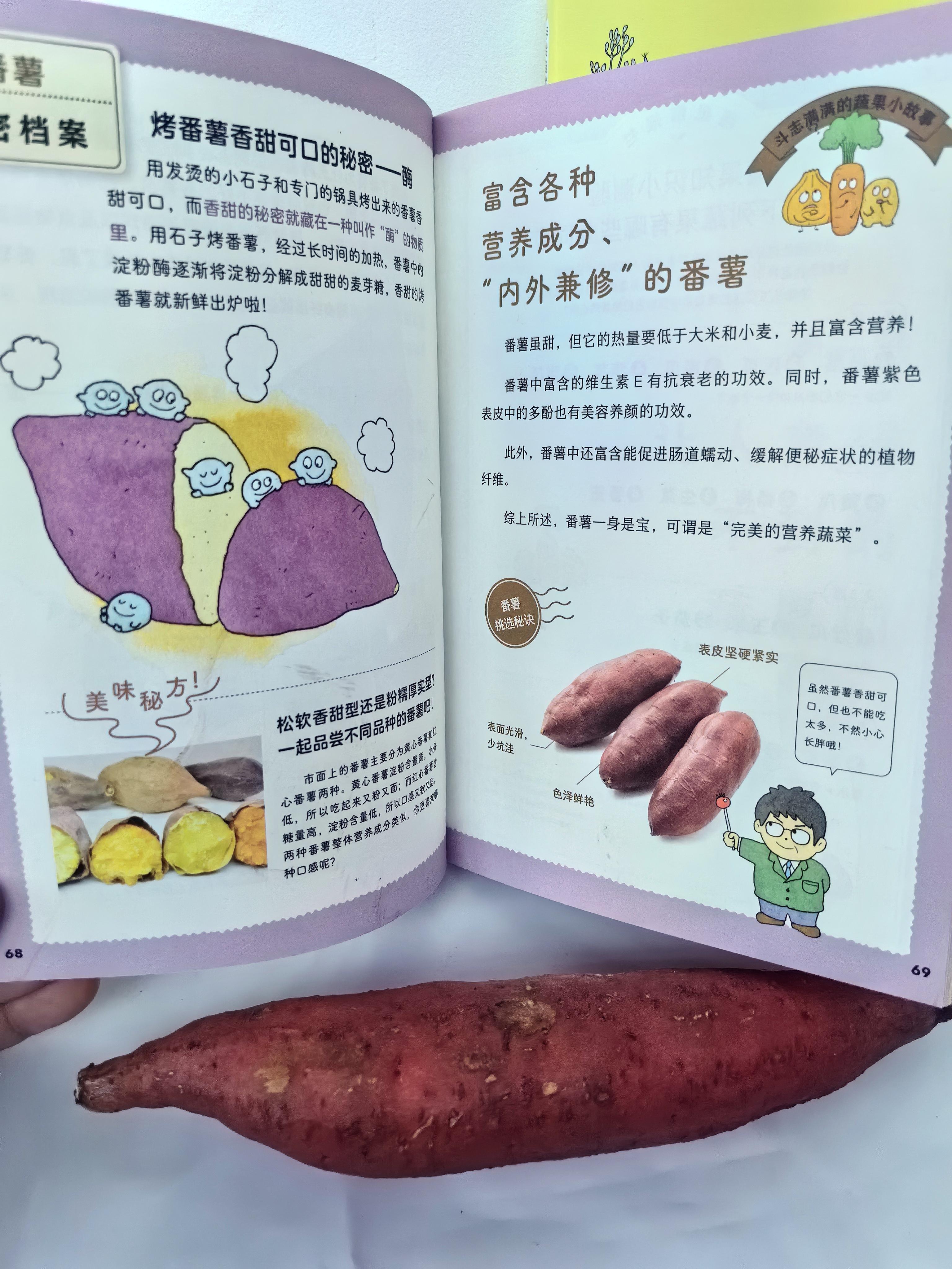 草莓向日葵丝瓜幸福宝草莓、向日葵与丝瓜的幸福宝园-第3张图片