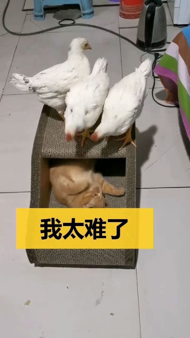 爷爷的太大我难爱家爷爷，关于那太大的恐惧-第2张图片