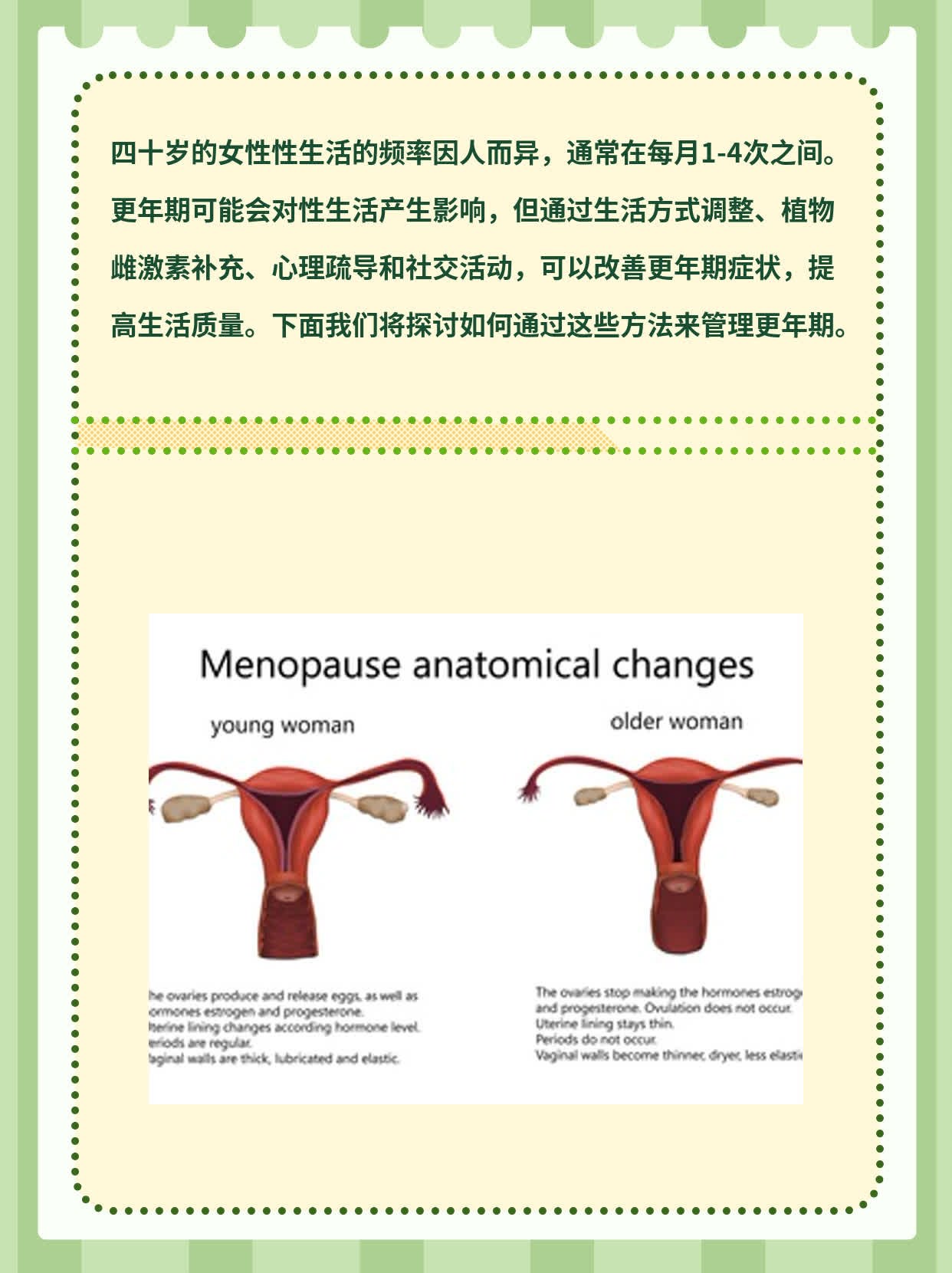 女人与公驹交酡的探索过程-第3张图片