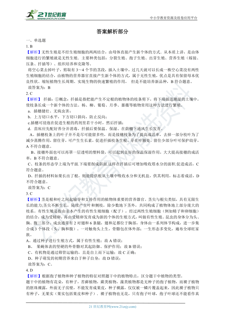 探索网络视频的多样性——以黄色A一级视频为例-第2张图片