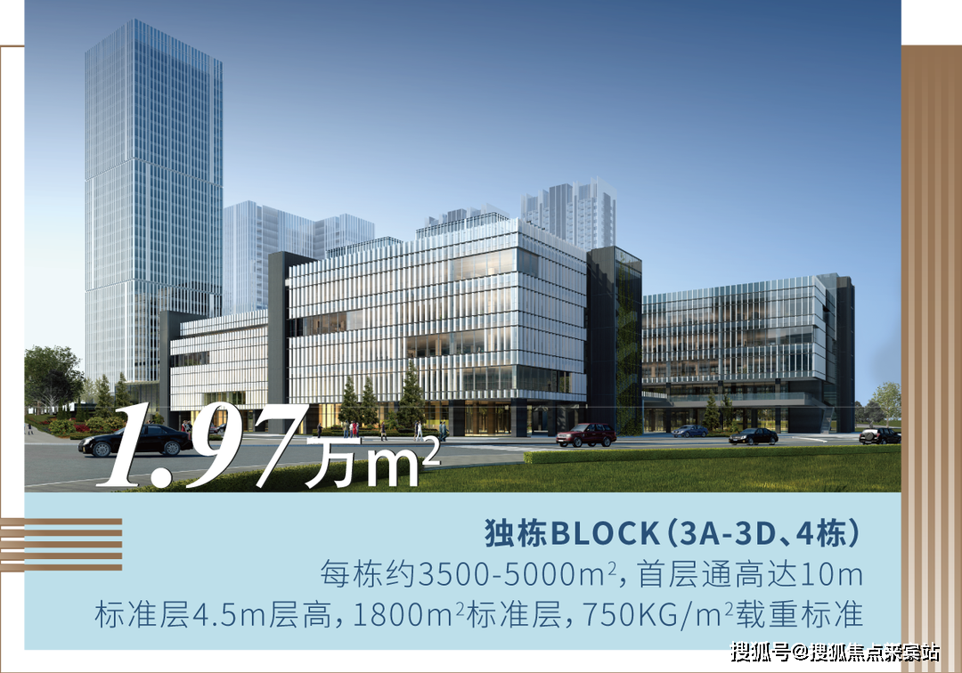 24小时畅享视频乐趣，免费观看打扑克娱乐