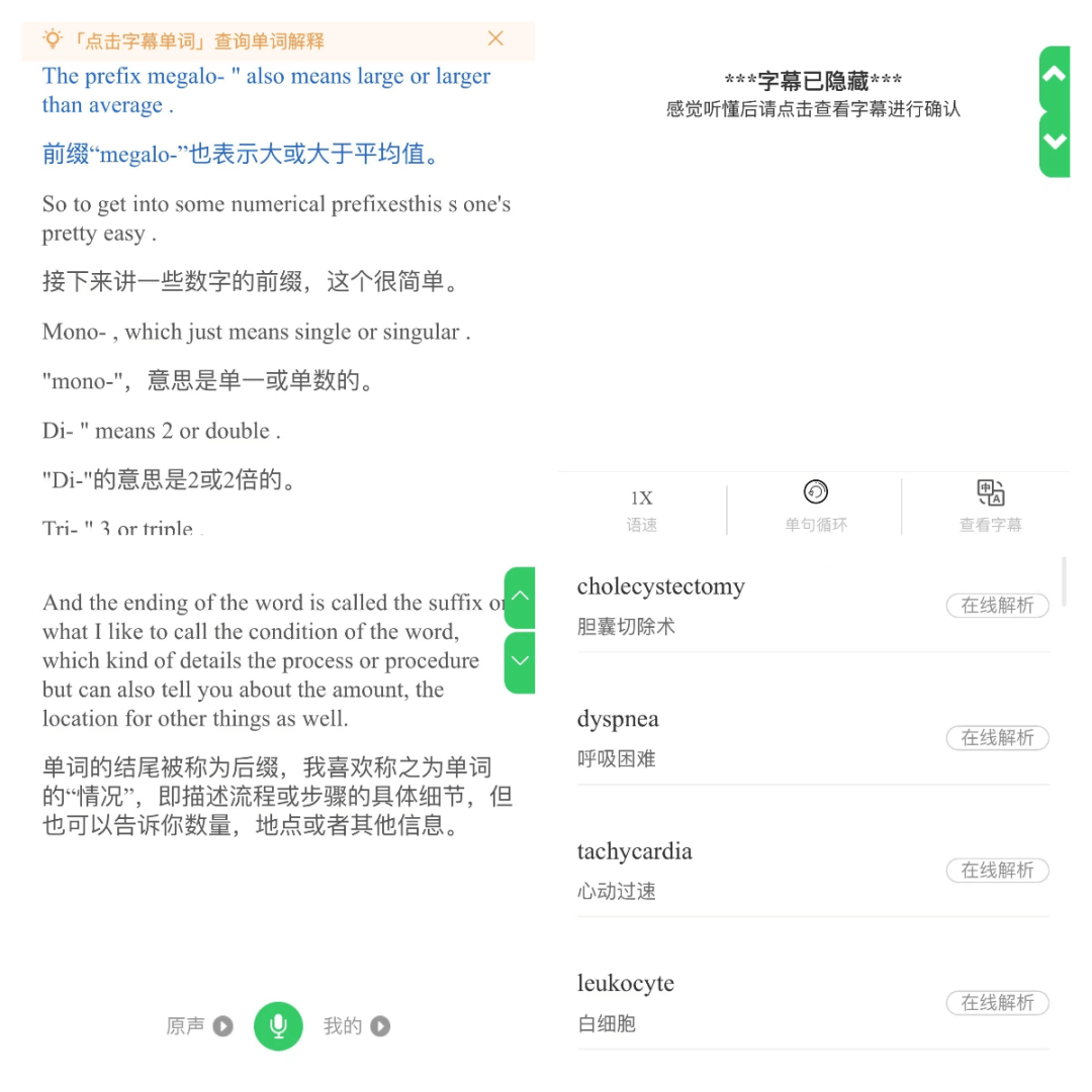 永久免费不收费的国外B站探索无限可能——永久免费不收费的国外B站-第1张图片