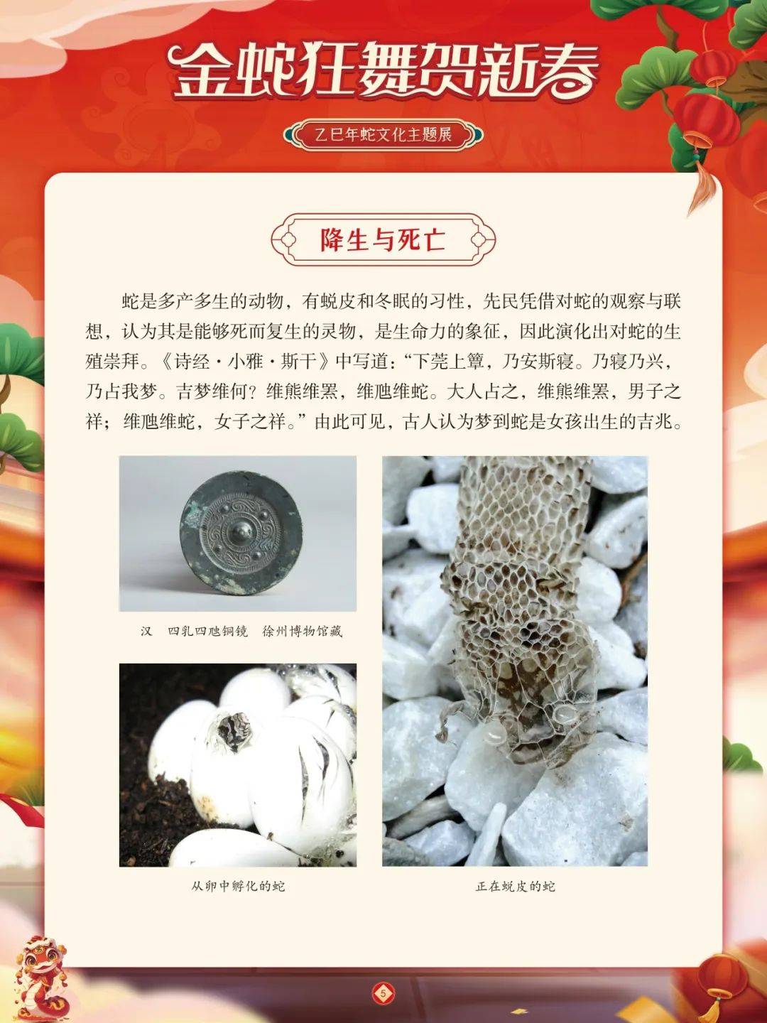 很黄的片子里面有蛇远离不良内容，珍爱健康生活-第3张图片