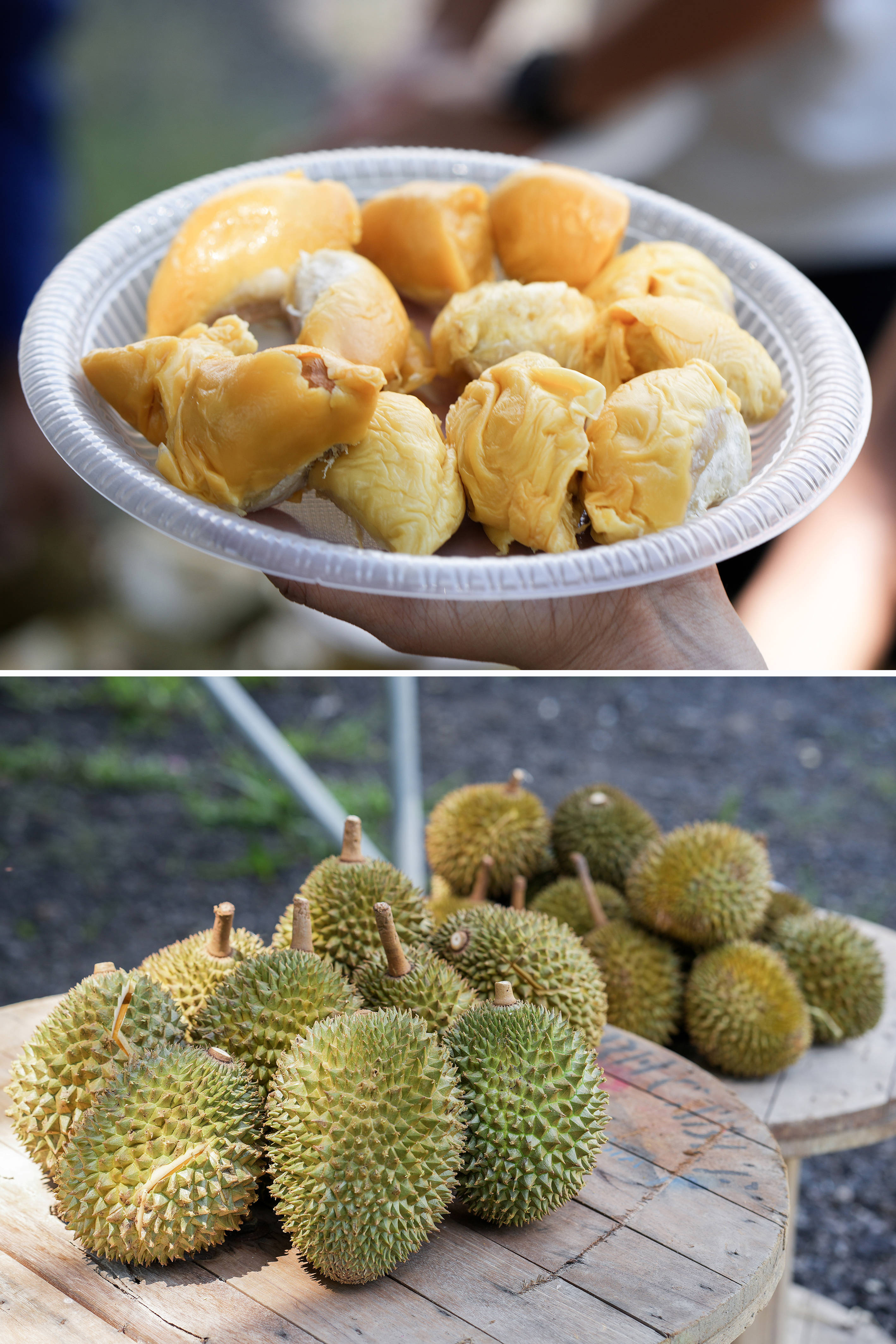 丝瓜樱桃秋葵榴莲菠萝蜜污黄丝瓜、樱桃、秋葵、榴莲、菠萝蜜与生活中的多彩体验-第2张图片