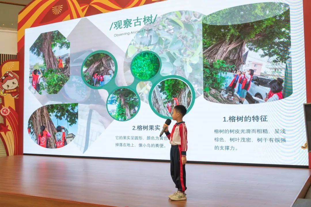 亚洲一卡二新区乱码绿踪林探索亚洲一卡二新区，绿踪林中的多元文化与独特体验-第3张图片