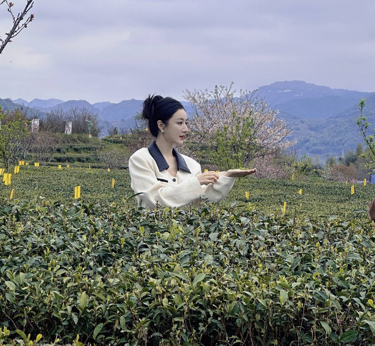 极品女性网极品女性网，探索美丽与时尚的数字世界-第2张图片