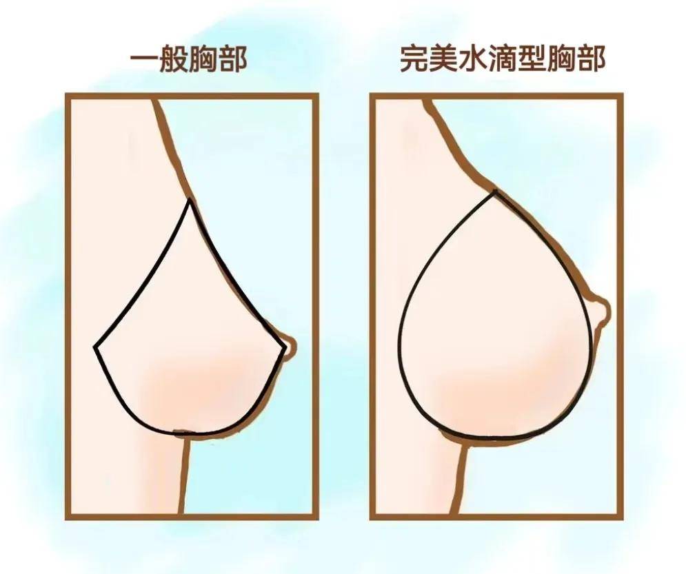 美女的整个乳头无遮挡关于女性美感的探讨——无遮挡的整个乳头之美-第2张图片
