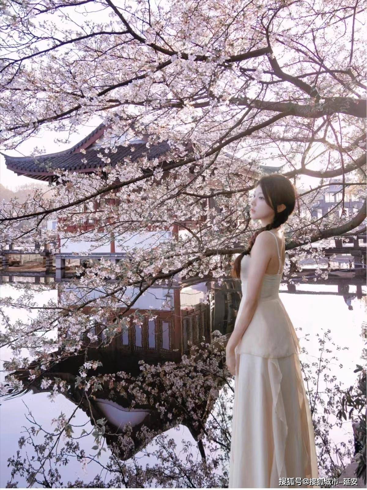 婷婷免费视频婷婷免费视频，探索网络世界的精彩-第2张图片