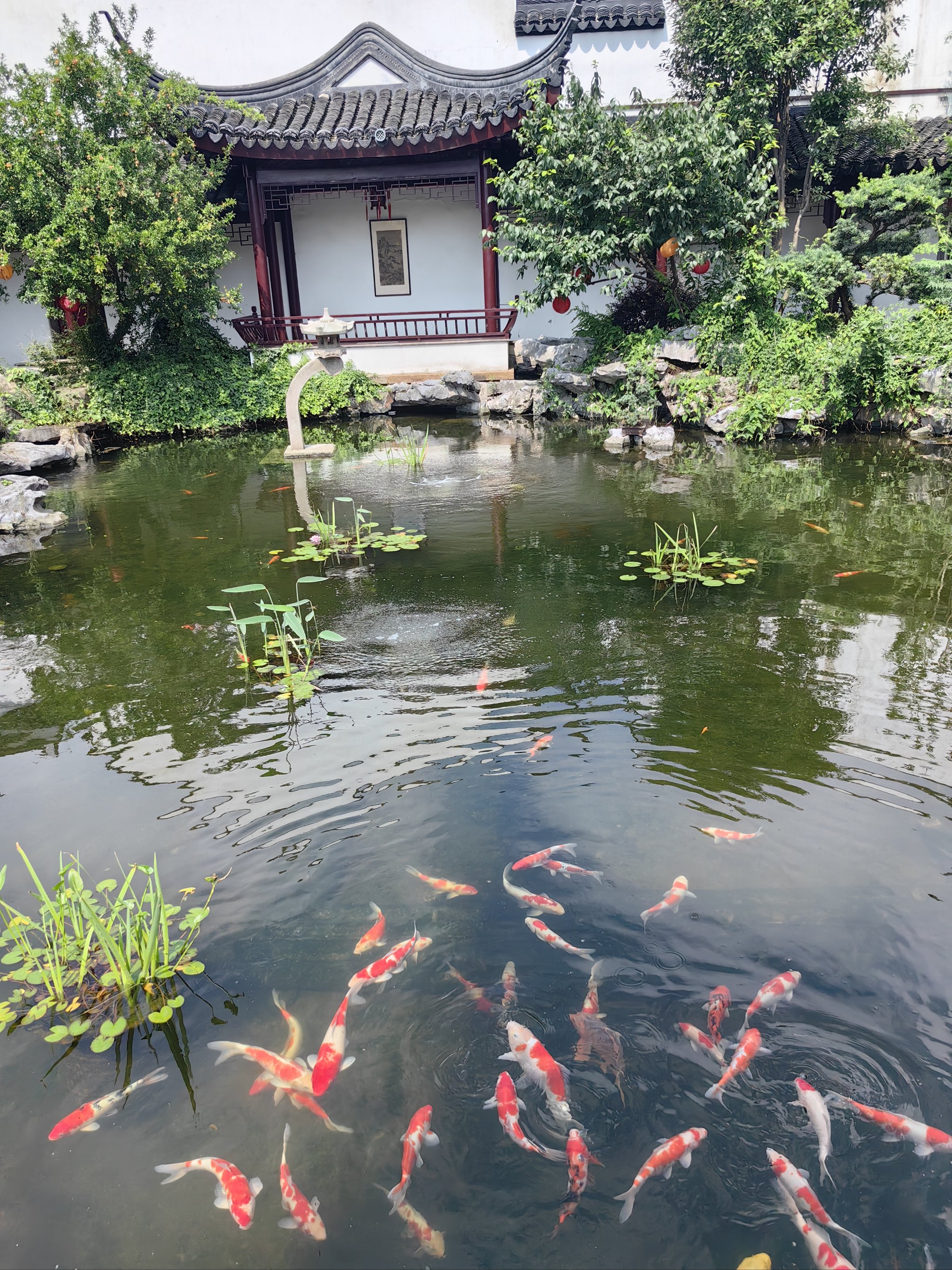 江南百景图油树林江南百景图中的油树林，一幅自然与人文的和谐画卷-第2张图片