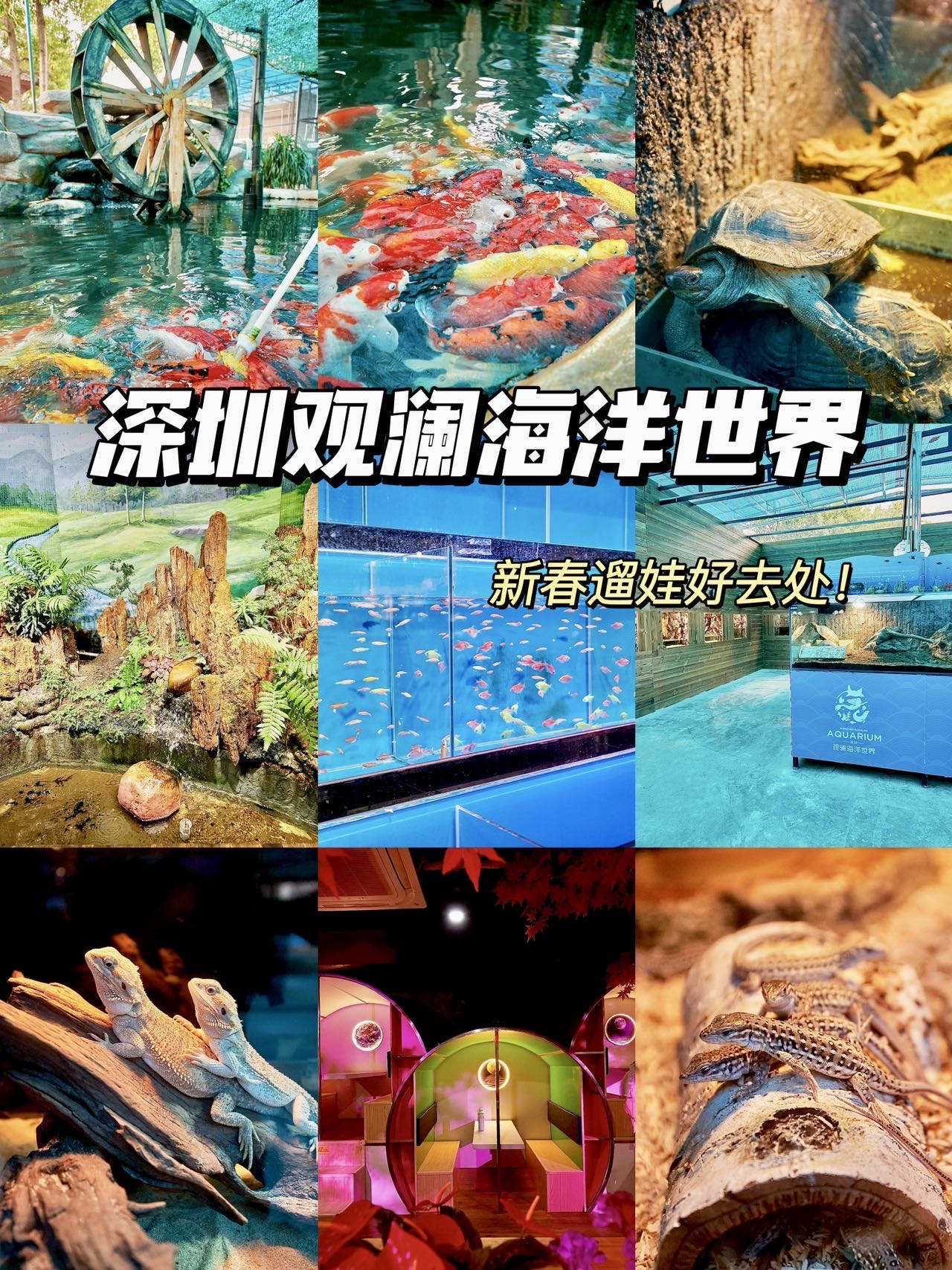 探索天堂资源的奥秘
