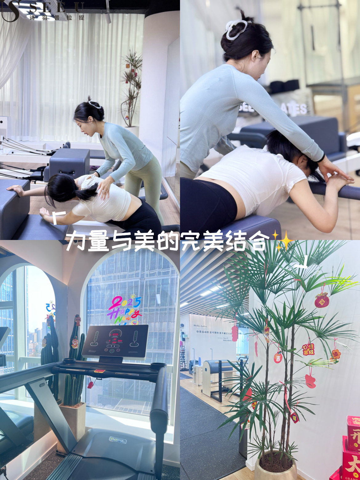 健身房里的招牌——塑造健康体态的秘密武器