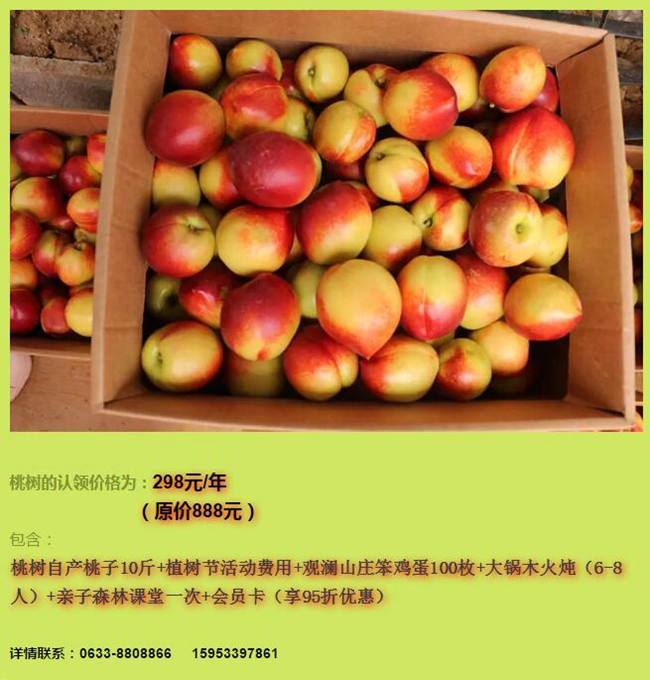 农夫大导航24农夫大导航，引领农业新时代的智慧之选