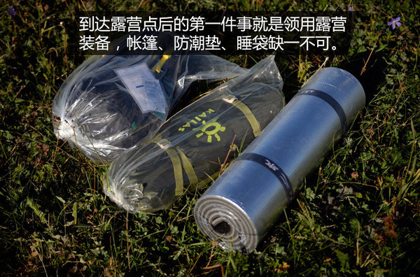 探索日产无人区，一线二线三线乱码蘑菇的奥秘-第2张图片